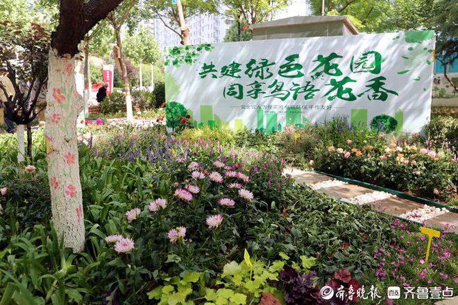 历下园林：绘出最美底色着力擦亮城市品质(图5)