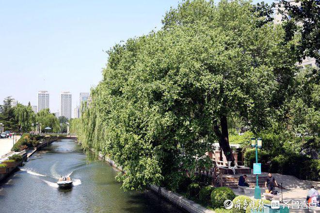 历下园林：绘出最美底色着力擦亮城市品质(图9)