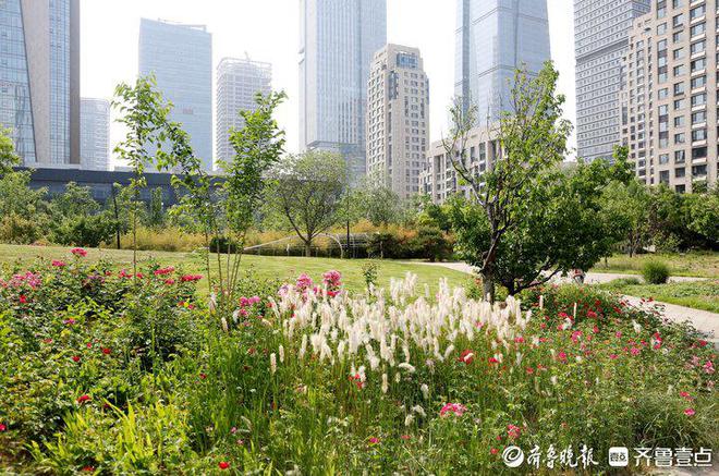 历下园林：绘出最美底色着力擦亮城市品质(图7)