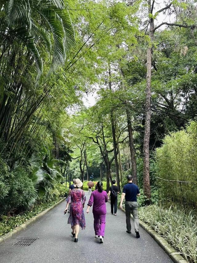 “万步有约”健康领跑在昌岗“点上开花”｜海珠万步有约征文展播(图4)