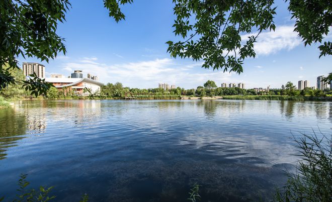 天津体北金茂府(售楼处)金茂府5个关键词读懂府式健康生活方式(图11)