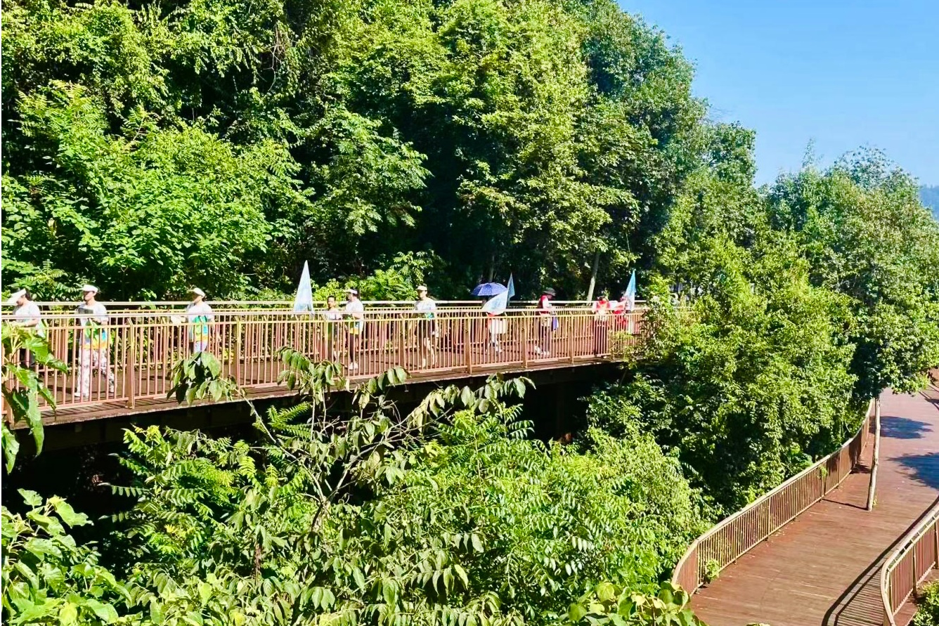 Pg电子平台：迎接全国生态日！三明举办首个行浸式徒步体验活动(图2)