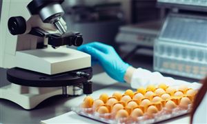 2024年中国智能健身产业链供需布局及发展前景分析(图3)