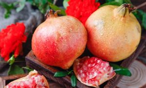 2024年中国智能健身产业链供需布局及发展前景分析(图7)