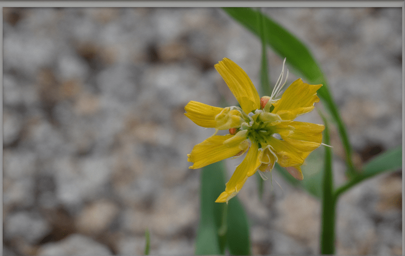 Pg电子网站：2024年最正确的生活方式!（马上收藏）