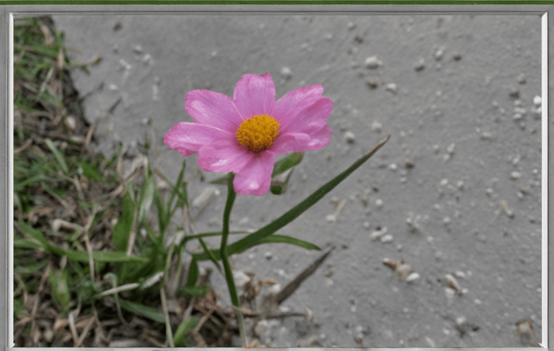 Pg电子网站：2024年最正确的生活方式!（马上收藏）(图2)