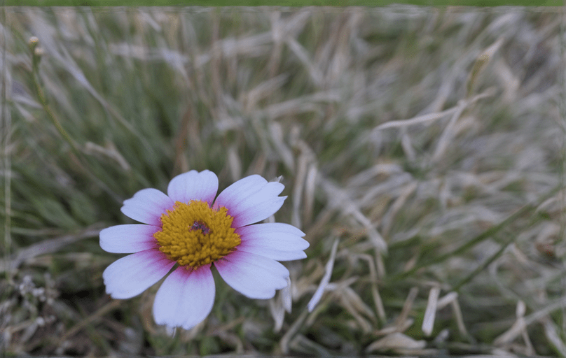 Pg电子网站：2024年最正确的生活方式!（马上收藏）(图3)