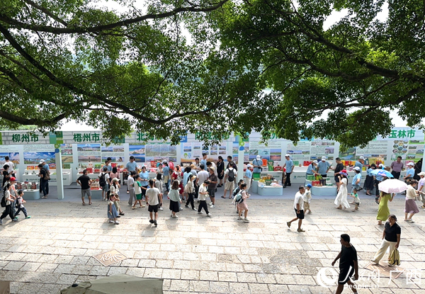 2024年全国生态日广西主场活动在桂林举行