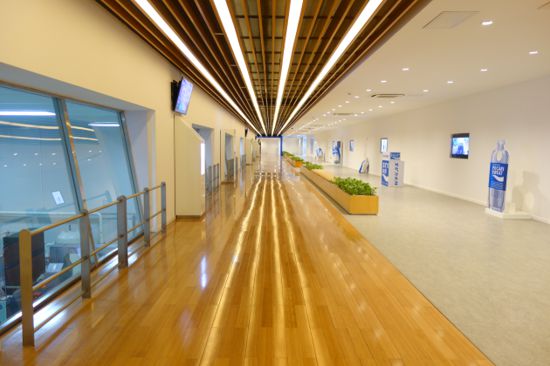 宝矿力水特：厚植“含绿量”助力绿色健康生活方式养成