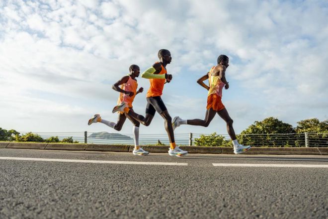 Pg电子网站：李宁上半年成绩单符合预期专业运动与科技创新成稳健关键