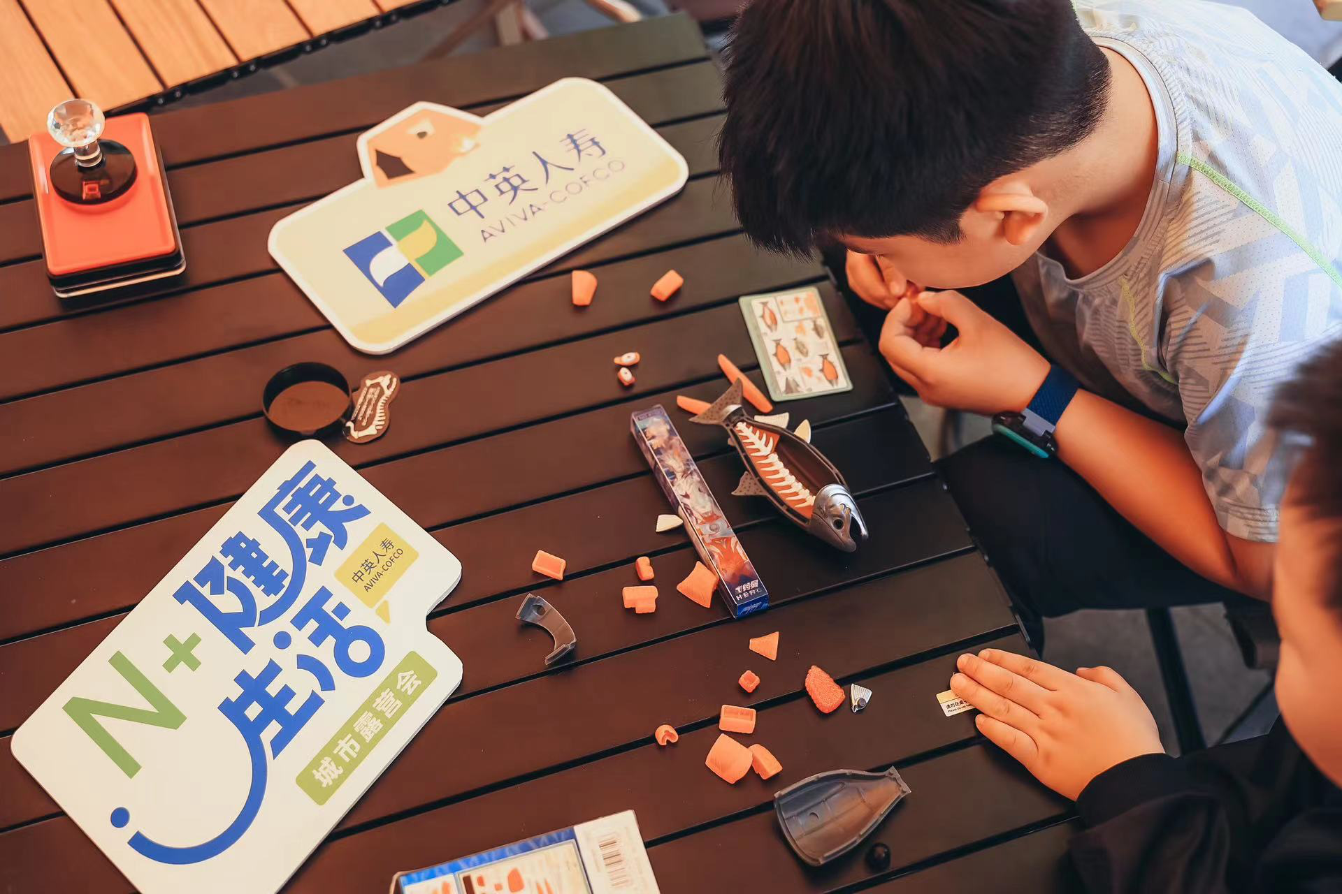 传递营养健康生活方式中英人寿2024年“N+健康生活”启幕活动暨城市露营会在京启动(图7)