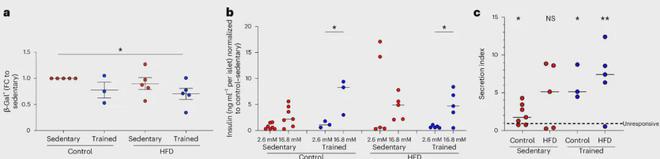 Pg电子：顶刊报道：哈佛医学院发现运动对糖尿病患者有改善作用(图2)