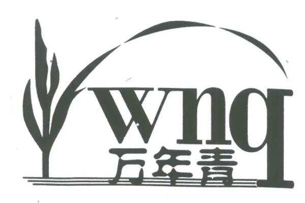 Pg电子:跑步机品牌排行前十名多家美国品牌上榜第七靠军火起家(图6)