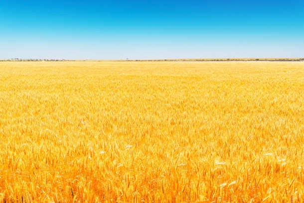 Pg电子网站：精酿节将成为改变“国际郑”的生活方式(图3)