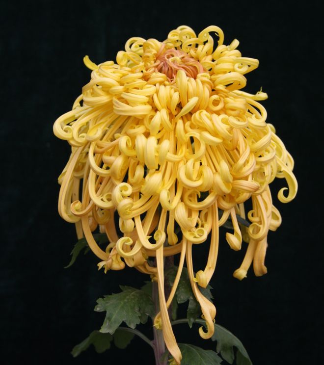 盘点风雨来袭！楼市大变化！补贴来了！好消息还有……(图12)