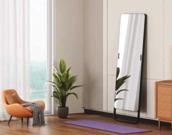 Pg电子平台：小度添添再发新品居家运动场景之下智能健身镜能否走进用户(图3)