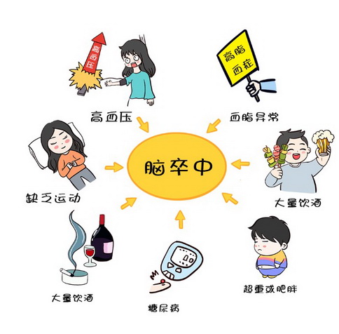 体医融合战胜卒中｜脑卒中日趋年轻化健康生活方式尤为重要(图2)