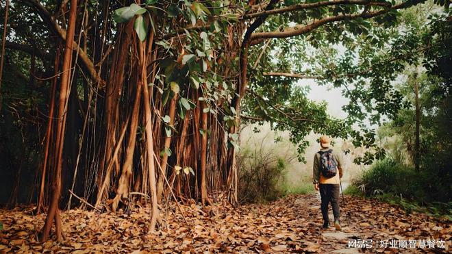 Pg电子网站：拥抱健康生活从这三招入手(图2)