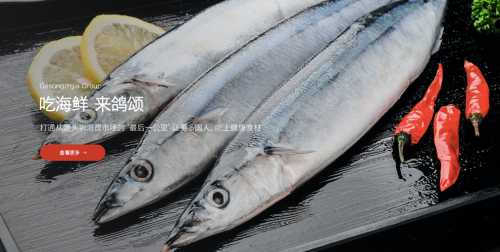 鸽颂之家：打通海鲜水产市场“最后一公里”让健康食材走上更多餐桌