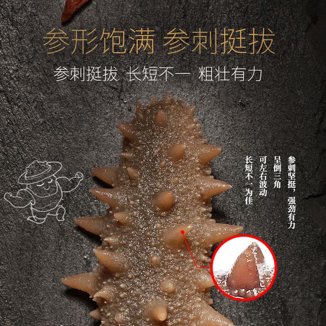 Pg电子：秋冬滋补正当时：海参君新品惊艳上市再掀都市健康生活新风尚(图4)