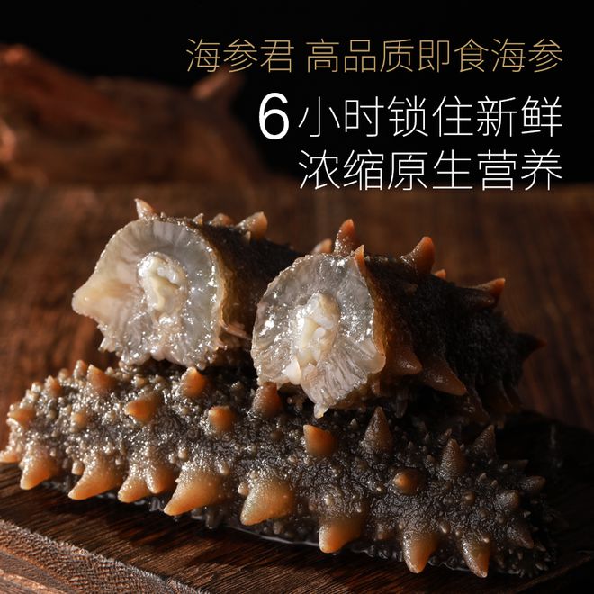 Pg电子：秋冬滋补正当时：海参君新品惊艳上市再掀都市健康生活新风尚(图3)