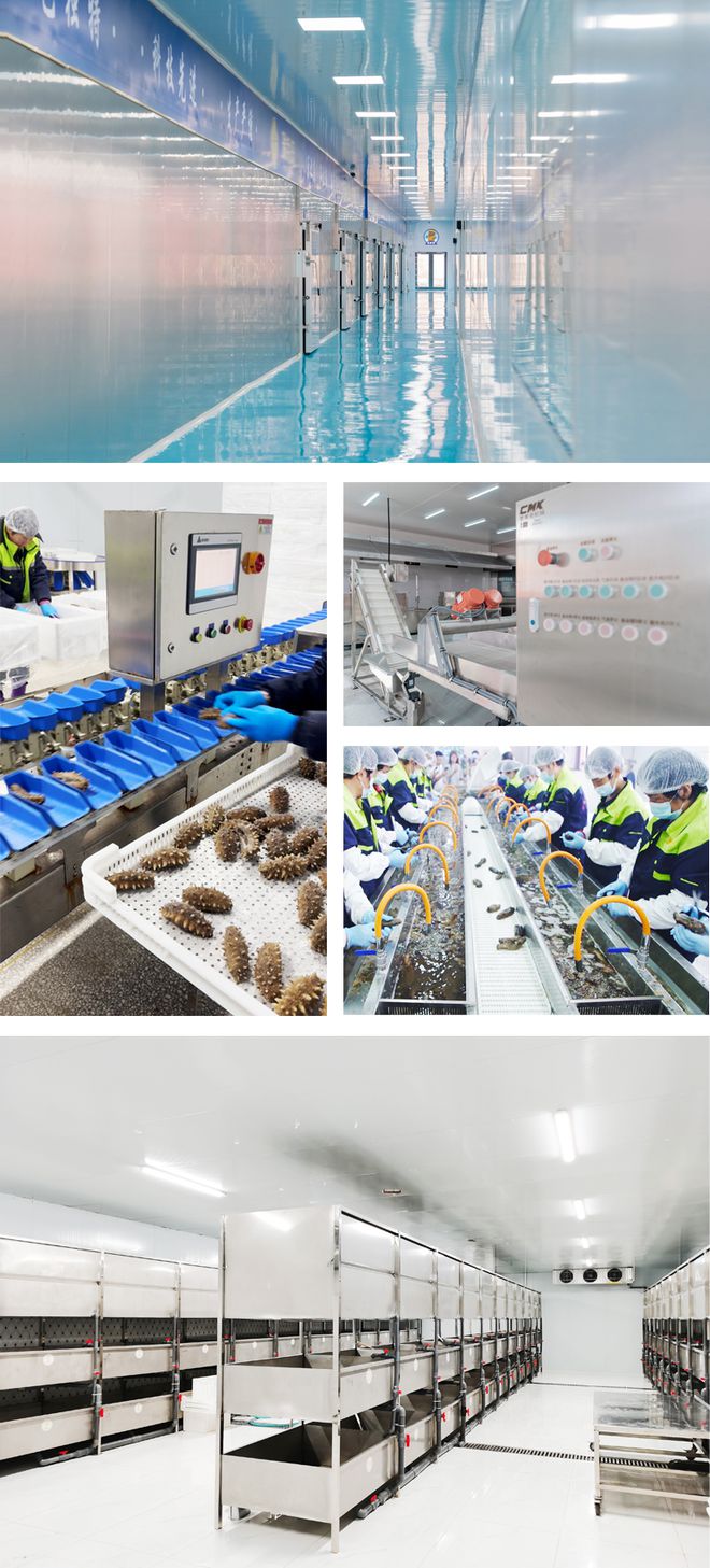 Pg电子：秋冬滋补正当时：海参君新品惊艳上市再掀都市健康生活新风尚(图5)