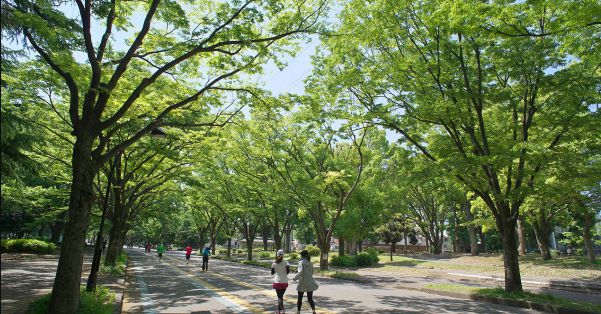 Pg电子平台：日本人的健康秘密藏在生活的每个细节里！