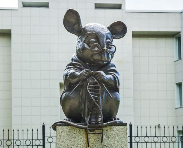 Pg电子平台：63年前黑猩猩哈姆被美国送进太空回来后人们却发现了不对劲(图11)