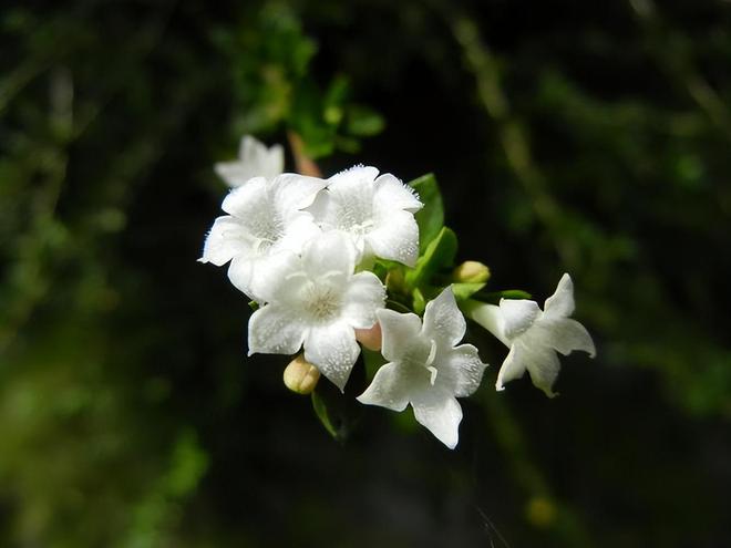 人到晚年幸福的生活方式是做到3件事尤其是最后一件很的重要