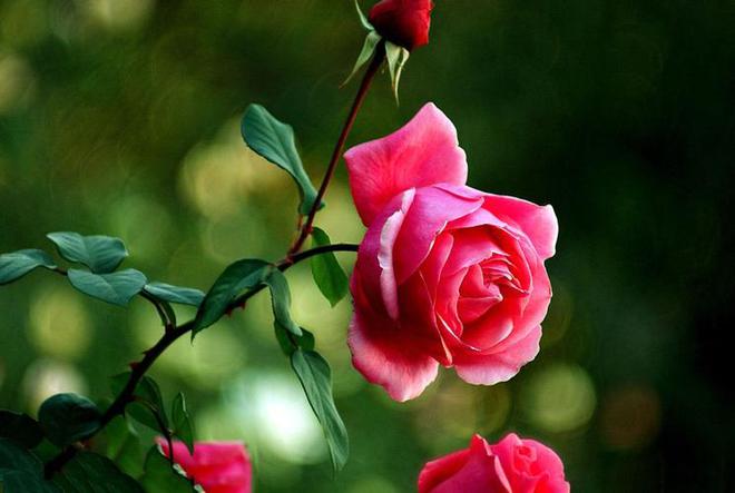 人到晚年幸福的生活方式是做到3件事尤其是最后一件很的重要(图2)