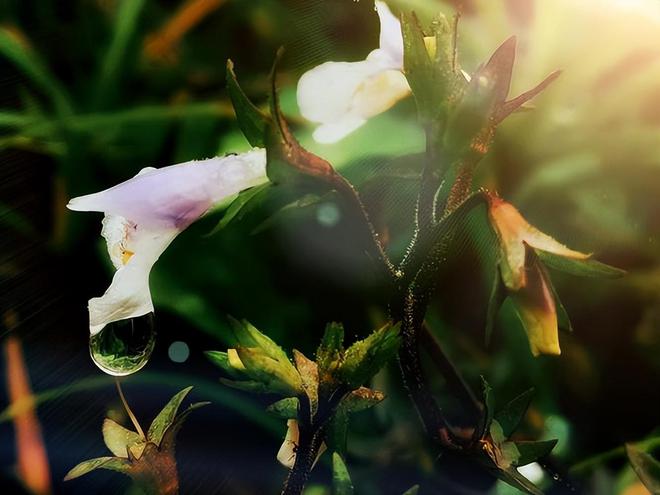 人到晚年幸福的生活方式是做到3件事尤其是最后一件很的重要(图4)