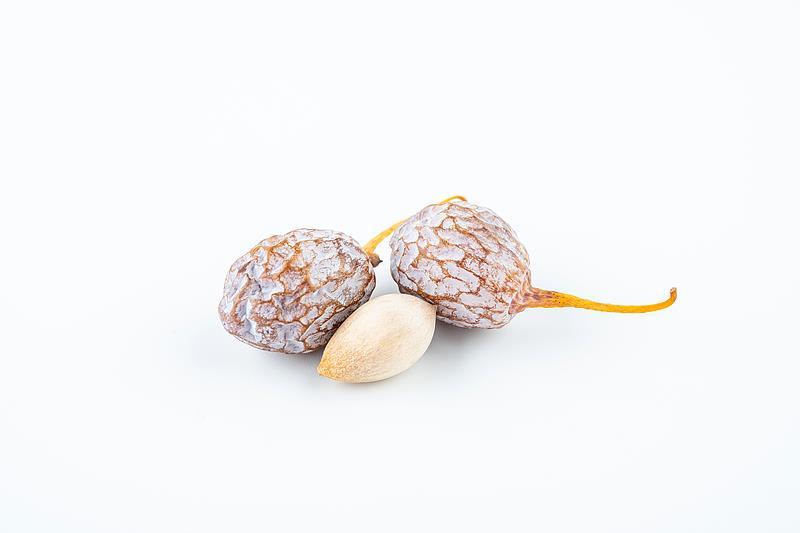 长期喝纯净水有害健康？11月科学流言榜来了→(图3)