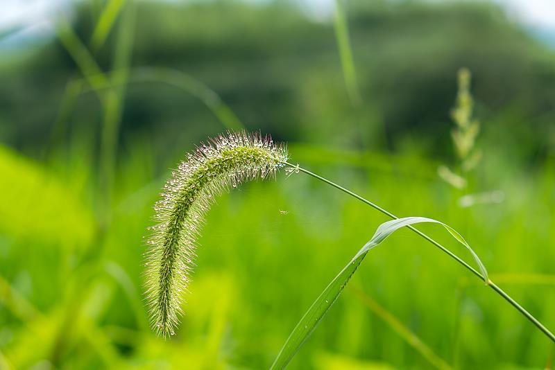 长期喝纯净水有害健康？11月科学流言榜来了→(图4)