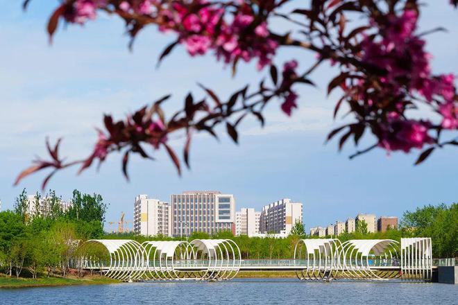 家门口就能欣赏到的优美景色！顺义这些河道悄悄变美了！(图4)