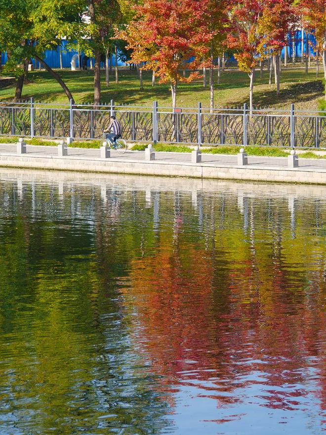 家门口就能欣赏到的优美景色！顺义这些河道悄悄变美了！(图5)