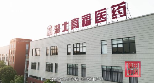 心脑血管患者保持健康运动方式真福医药全面守护心血管健康