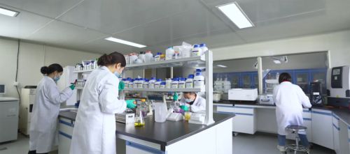 心脑血管患者保持健康运动方式真福医药全面守护心血管健康(图2)