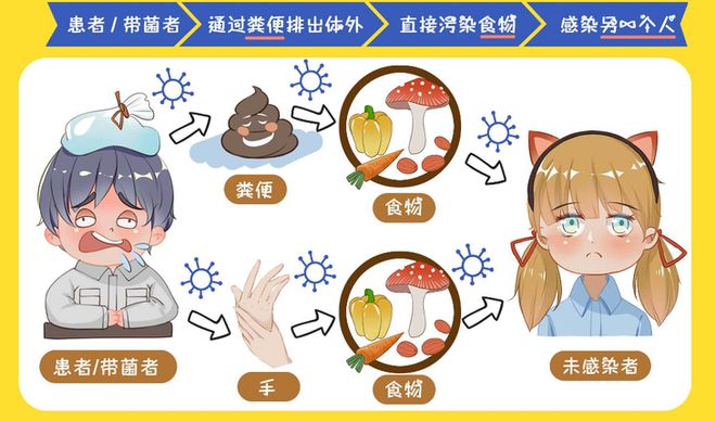 【健康生活】预防“诺如病毒”守护冬日健康——致家长的一封信！(图2)