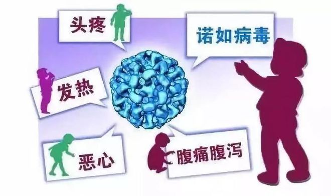 【健康生活】预防“诺如病毒”守护冬日健康——致家长的一封信！