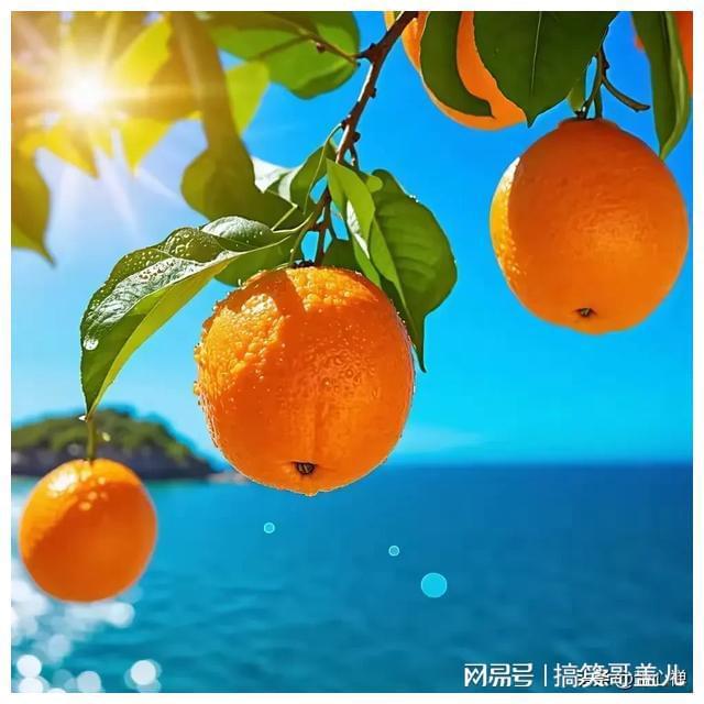 Pg电子：中年后拼名利不如拼健康！15句健康快乐生活活出炫耀人生(图4)