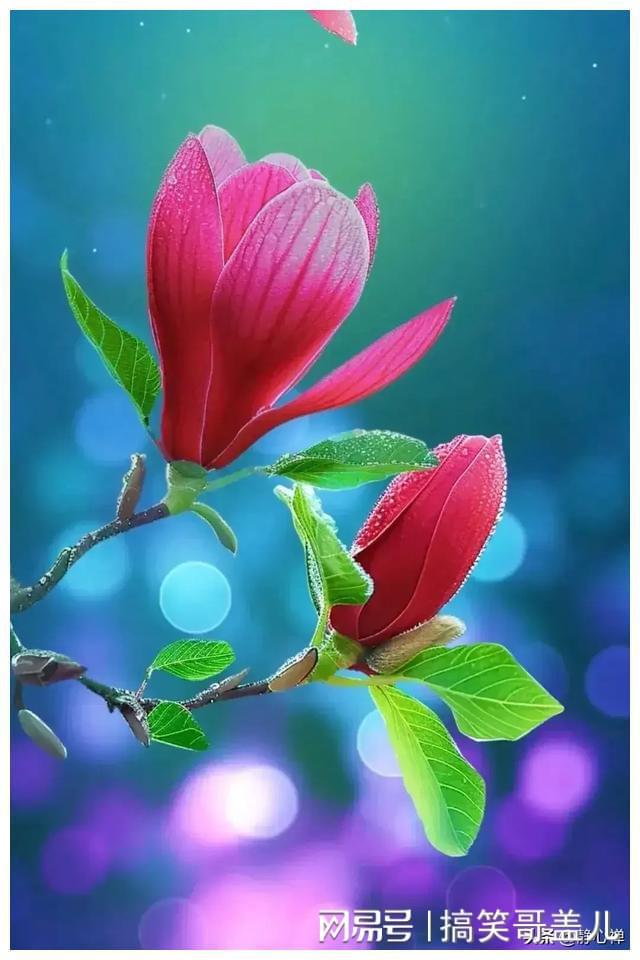 Pg电子：中年后拼名利不如拼健康！15句健康快乐生活活出炫耀人生(图5)