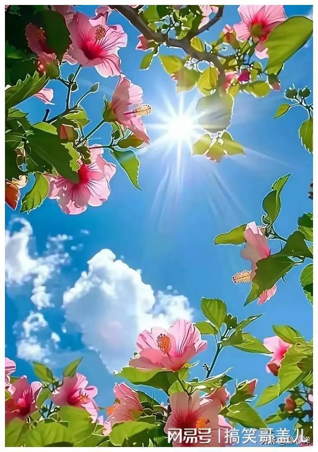 Pg电子：中年后拼名利不如拼健康！15句健康快乐生活活出炫耀人生