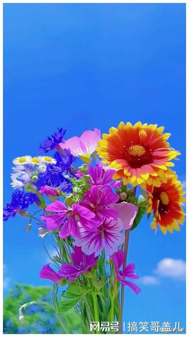 Pg电子：中年后拼名利不如拼健康！15句健康快乐生活活出炫耀人生(图2)