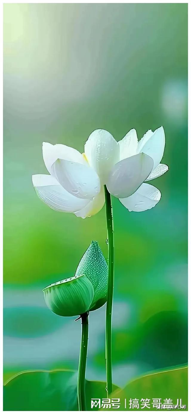 Pg电子：中年后拼名利不如拼健康！15句健康快乐生活活出炫耀人生(图6)