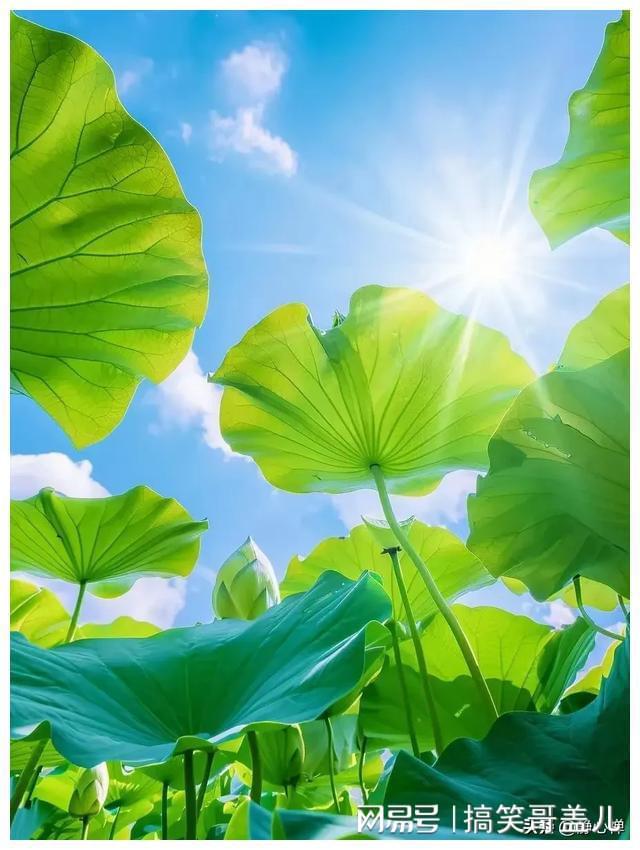 Pg电子：中年后拼名利不如拼健康！15句健康快乐生活活出炫耀人生(图7)