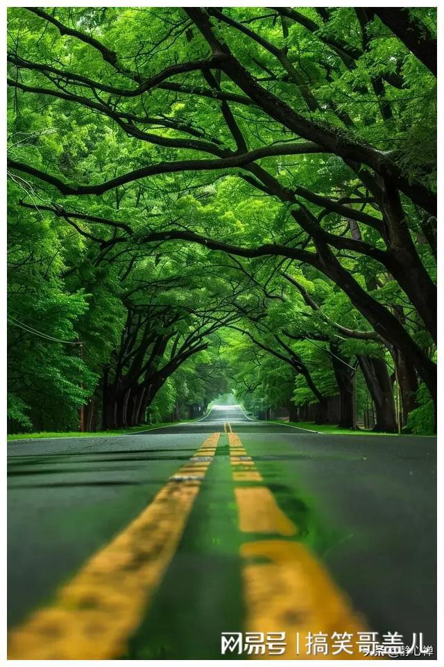 Pg电子：中年后拼名利不如拼健康！15句健康快乐生活活出炫耀人生(图12)