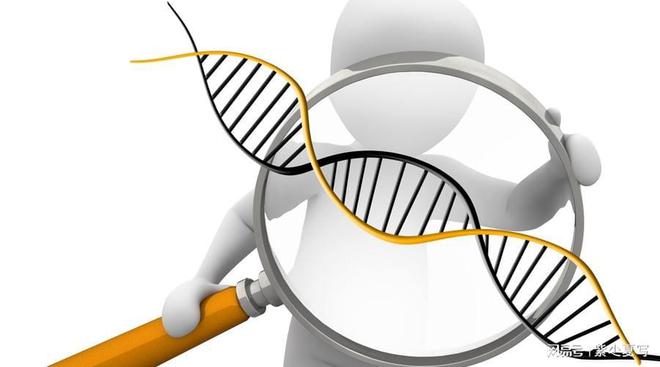Pg电子网站：锻炼的科学与益处