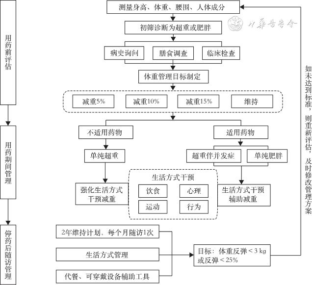 Pg电子：科学减重GLP‐1RA与生活方式干预如何有效结合？(图3)