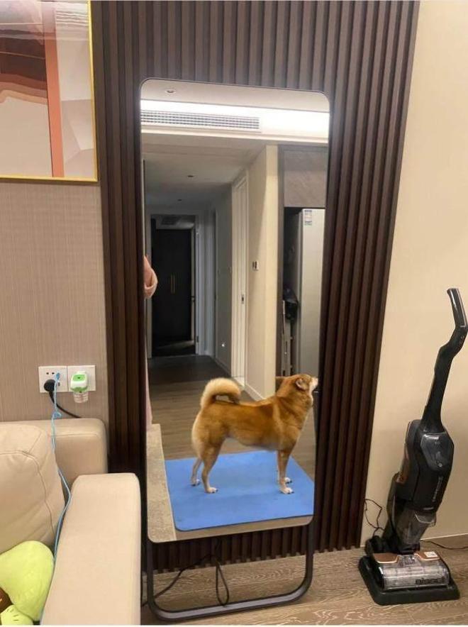 智能健身镜体验分享：自律生活第一步从坚持运动开始
