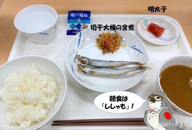 我国军队餐费一天最高39顿顿大鱼大肉!为啥隔壁一顿几十吃饲料(图11)